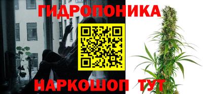 гидропоника Ирбит