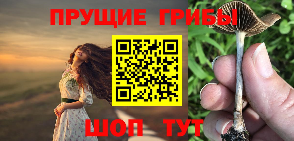 Галлюциногенные грибы Cubensis Лангепас