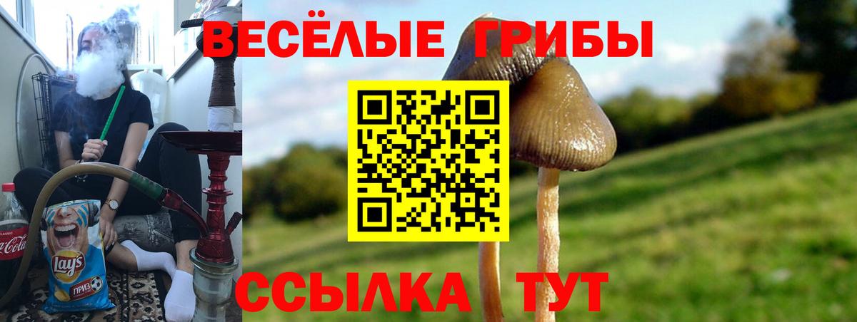 Галлюциногенные грибы ЛСД  Вход с VPN  Галлюциногенные грибы Psilocybe  Лангепас 